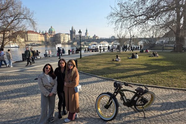 WhatsApp Image 2025-03-08 at 3.52.12 PM (1)